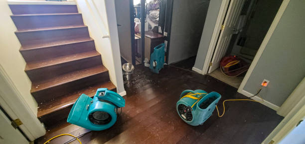 Best 24/7 water damage repair  in Inman, KS