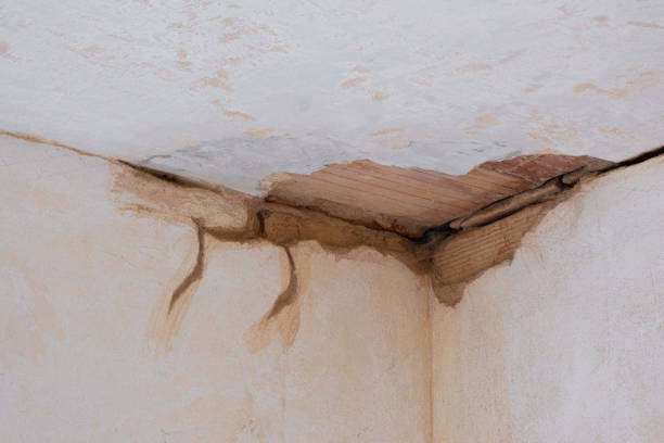Best Water damage restoration near me  in Inman, KS
