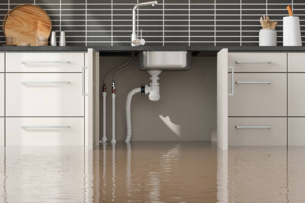 Best Water damage contractors near me  in Inman, KS